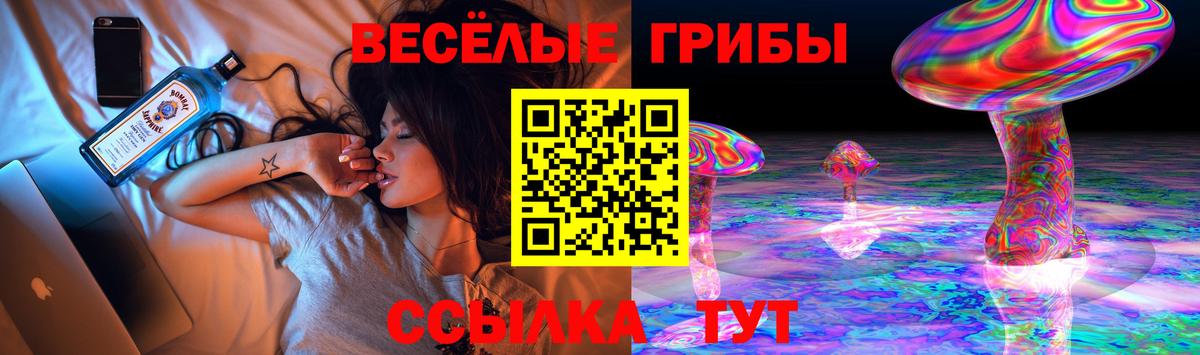 Псилоцибиновые грибы Psilocybe Мариинск